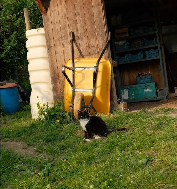 La présidente de l'association